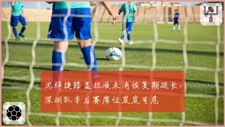 沈梓捷膝盖积液未消恢复期延长,深圳队季后赛席位岌岌可危