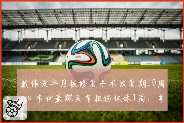 戴伟浚半月板修复手术恢复期10周 vs 韦世豪踝关节扭伤仅休1周,年轻球员身体耐受度差异明显